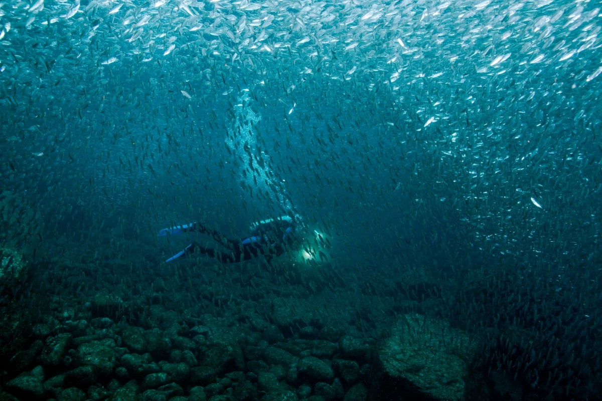 Exploration sous-marine